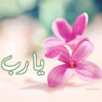 Amira Alsaghir