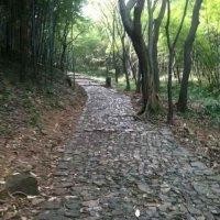 时间来