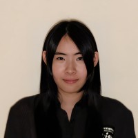 Tianyun Tan