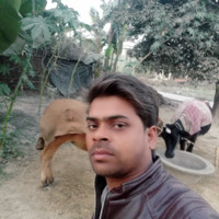 Rajkishor Kumar Rajkishor Kumar ray
