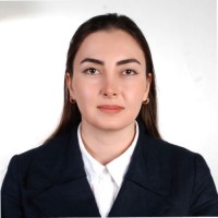 Negin Samadi Ghoushchi
