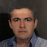 babak vaziri