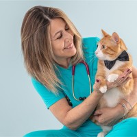 MARIA HAYDEE MARTINEZ GARRIDO