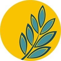 TERRA NOVA IMOBILIÁRIA
