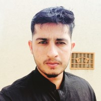 Muhammad Hassan Raza