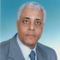 Mohamed  Heshmi Abulkasem