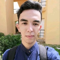 Zied Dhouaifi