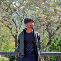 Mayank Arya