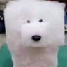 멈뭄미