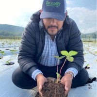 Nestor Montaño Lara
