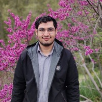 Mahdi Feyzollahi
