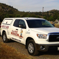 KM Pest Solutions