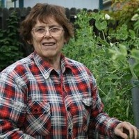 Carol Ross
