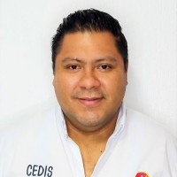 Raúl Toledo Niño