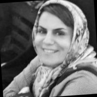 Fereshteh Ghaderi