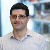 Nir Ben Chetrit