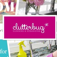 Clutterbug Cleaning Organizing