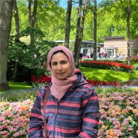 Samaneh Hashemikia