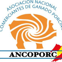 ASOCIACION ANCOPORC