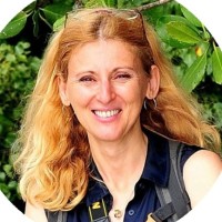 Brigitte DAVID