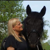 Silke Engelfried