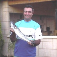 Tony Di Stefano