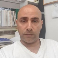 חיים ארביב