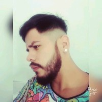 renard roca vaca