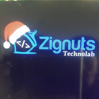 Developer Zignuts