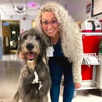 Kara Leisure, Bsn, Rn