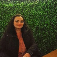 Daniah Aftab (Expert UI/UX Designer)