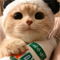 顾宏伟