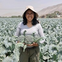 Yasmin Vanessa Tito Jauregui