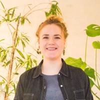 Wieke Meijer
