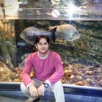 Muhammad Imran