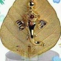 Ganesan D.