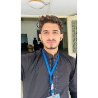 ali zulfiqar