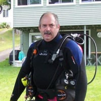 Wayne Mergel