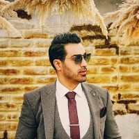 seyyed amin heydari