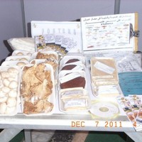dr.nsreen.m.el-said el-said
