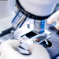 Microbiology Current Research