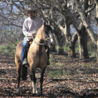 Carlos Hernández Yañez