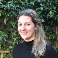 Lisanne Van Der Hoeven
