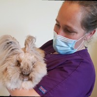 Marine Le Ray
