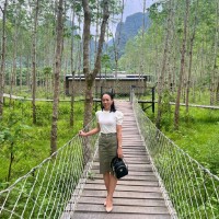 Tran Phuong