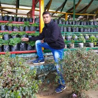 Gopeswar Saha