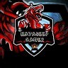 Navadeep Gamer