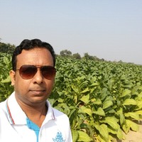 Abdul Aziz