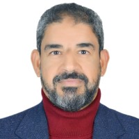 Waleed Mansour