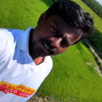Kumar P